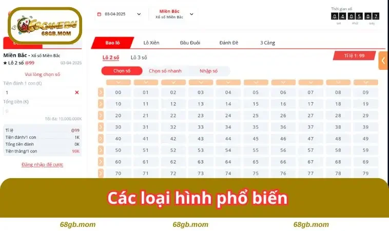 Các loại hình phổ biến