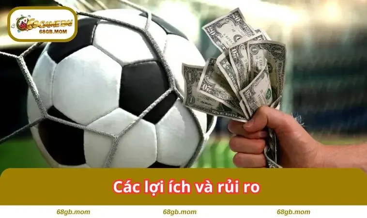 Các lợi ích và rủi ro