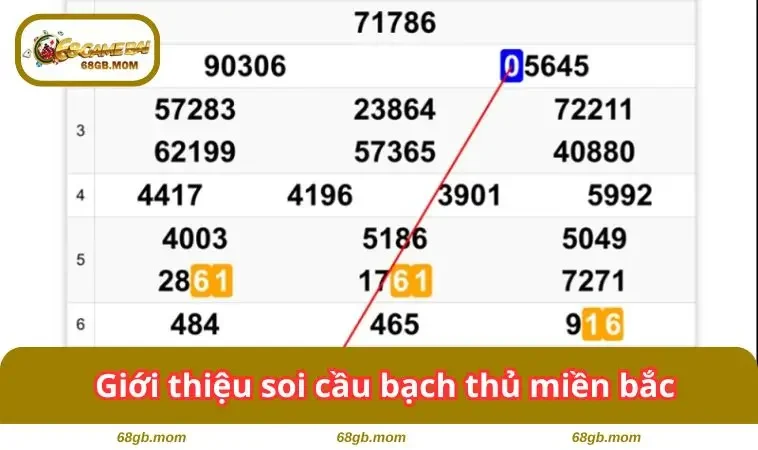 Giới thiệu về loại hình này