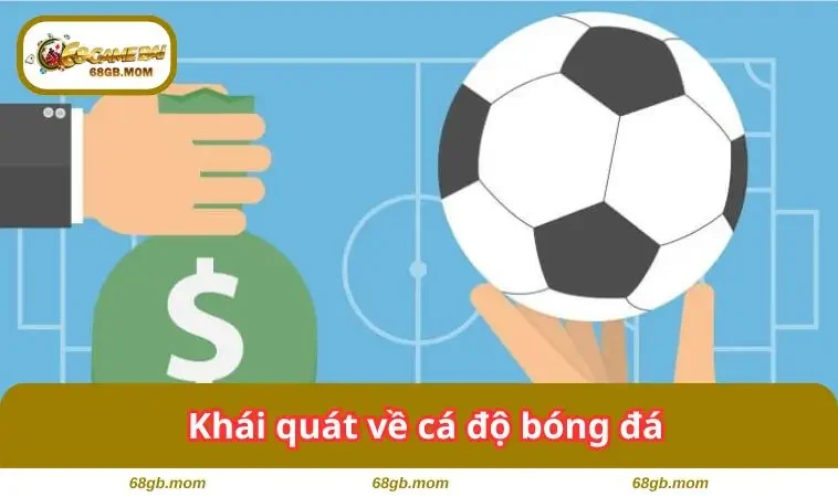 Khái quát về loại hình này