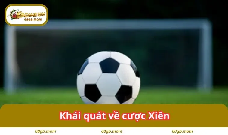 Khái quát loại hình này