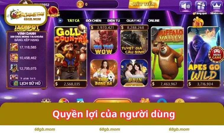 Quyền lợi của người dùng 