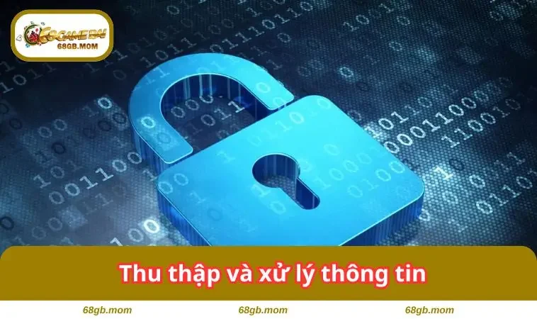 Thu thập và xử lý thông tin