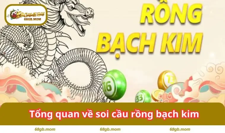 Tổng quan về hình thức này